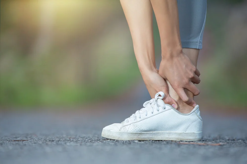 Wellness Support
